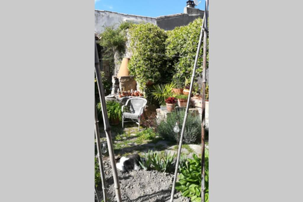 Gite La Remise, Maison Avec Jardin Lagrasse Exterior photo